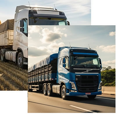 transporte de cargas dedicada